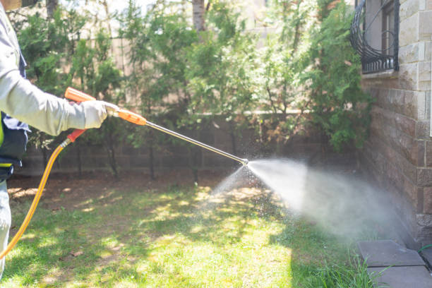 Best Organic or Eco-Friendly Pest Control  in International Falls, MN